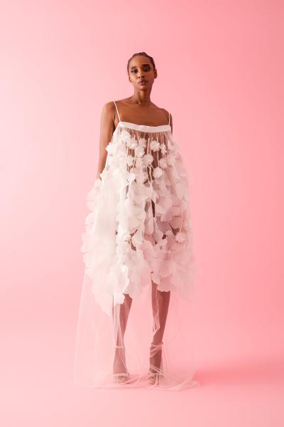 Frederick Anderson 2026早秋005